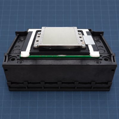 Epson XP600 DX11 — profil głowicy i płyta dysz